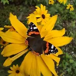 Ekolokum - Kameralnie, Blisko Centrum Homestay szállás Ostróda