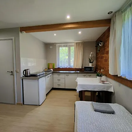 Ubytování v soukromí Ekolokum - Kameralnie, Blisko Centrum Ostróda