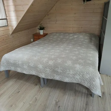 Ekolokum - Kameralnie, Blisko Centrum