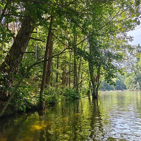 Kwatera prywatna Ivy Nook - Kameralnie, Blisko Jeziora *