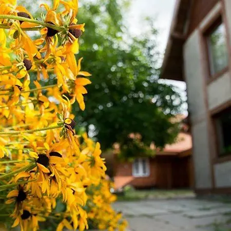 Kwatera prywatna Ekolokum - Kameralnie, Blisko Centrum Ostróda