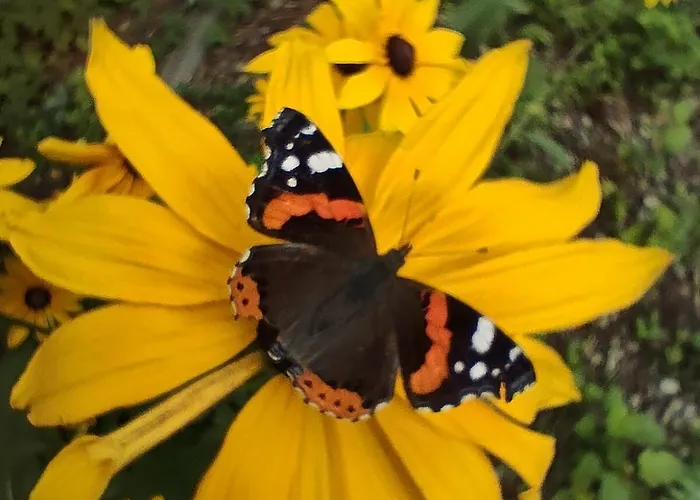 Ekolokum - Kameralnie, Blisko Centrum Ubytování v soukromí Ostróda
