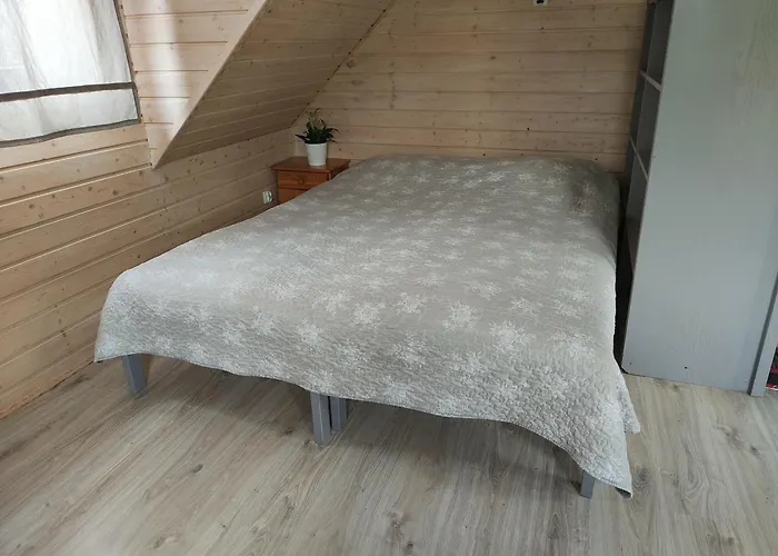 Ekolokum - Kameralnie, Blisko Centrum